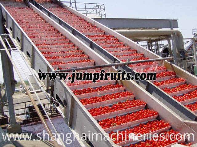 Fruits Juice Machinery